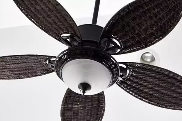 Ceiling-Fan-Services.jpg