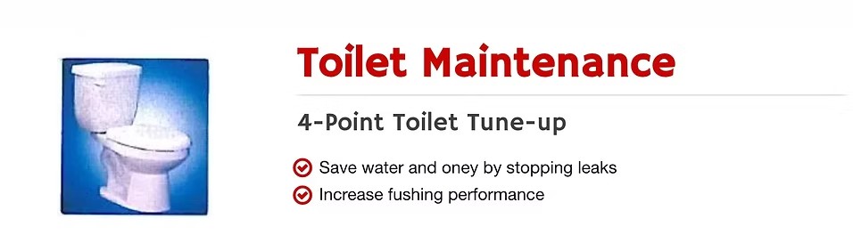 Toilet Maintenance.jpg